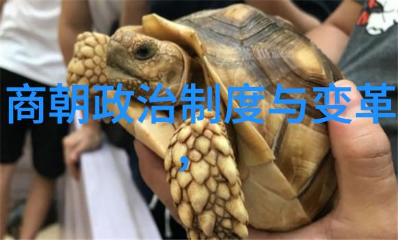 元朝的著名宰相脱脱我是如何看透他治国智慧的