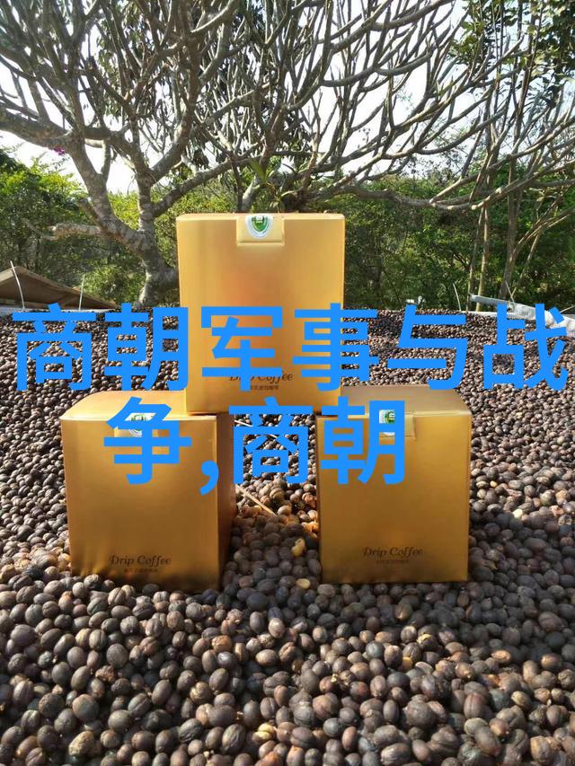 芈姝中国朝代顺序全览