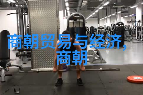 元代的边疆防御体系是怎样的以及它在对外战争中的作用