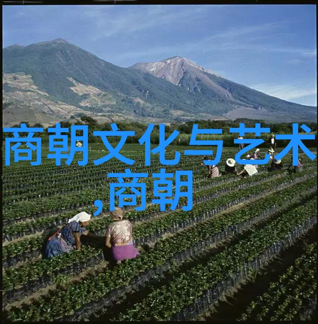 明朝那些事儿7本与9本对比明朝历史书籍版本比较