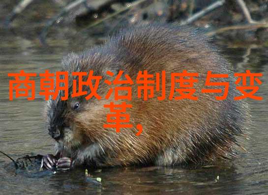 历史谜团-刘伯温与马皇后之谜一段未解的宫廷情缘