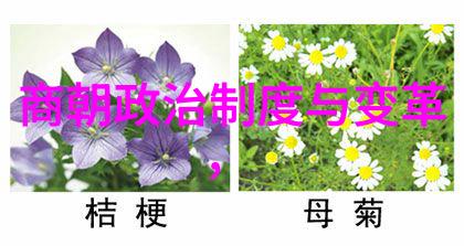 朝阳沟名段艾立这位豫剧丑行演员如同一位流浪的诗人在舞台上以独特的风格绘出生命的轮回