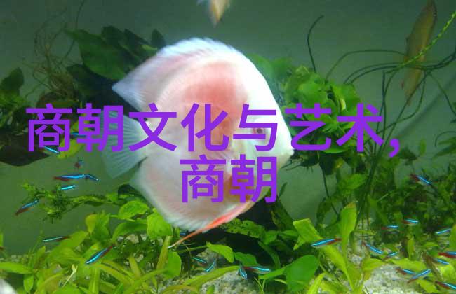 博果尔的娘是谁比孝庄尊贵揭秘历史之谜