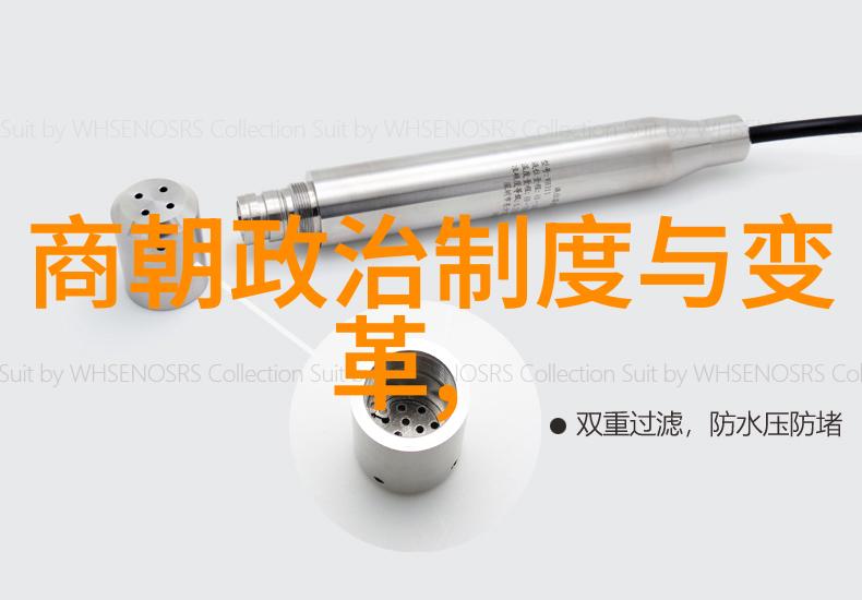 重现往昔辉煌初年级学生在课堂上的探索历程