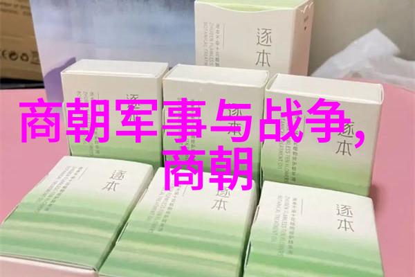 霜华录元朝沉浮