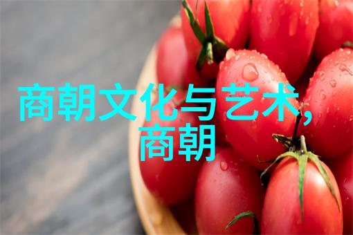 明朝历史简介与关键时期概览
