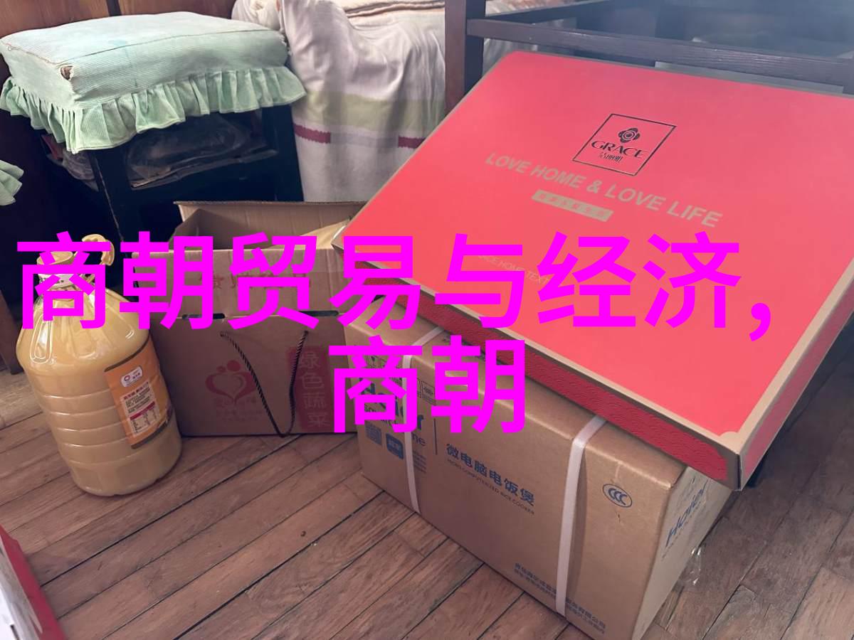 明朝英宗朱祁镇最无耻的篡位之谜权力与荣耀背后的阴谋
