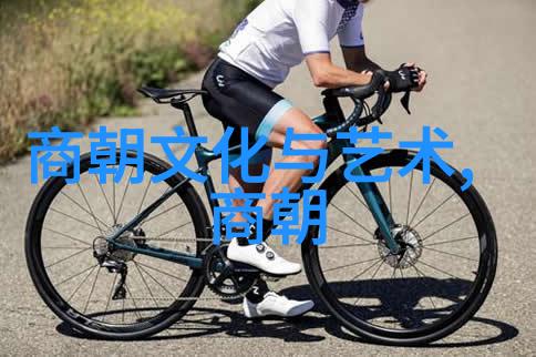 元朝版图扩张史辽金大合江南北