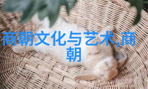 南宋与北宋时光的对弈者