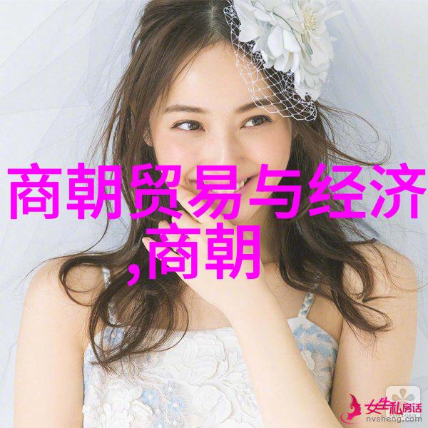 宋元明清四朝之变迁与社会经济转型