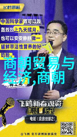 明朝的内忧外患土木堡之变与倭寇侵扰