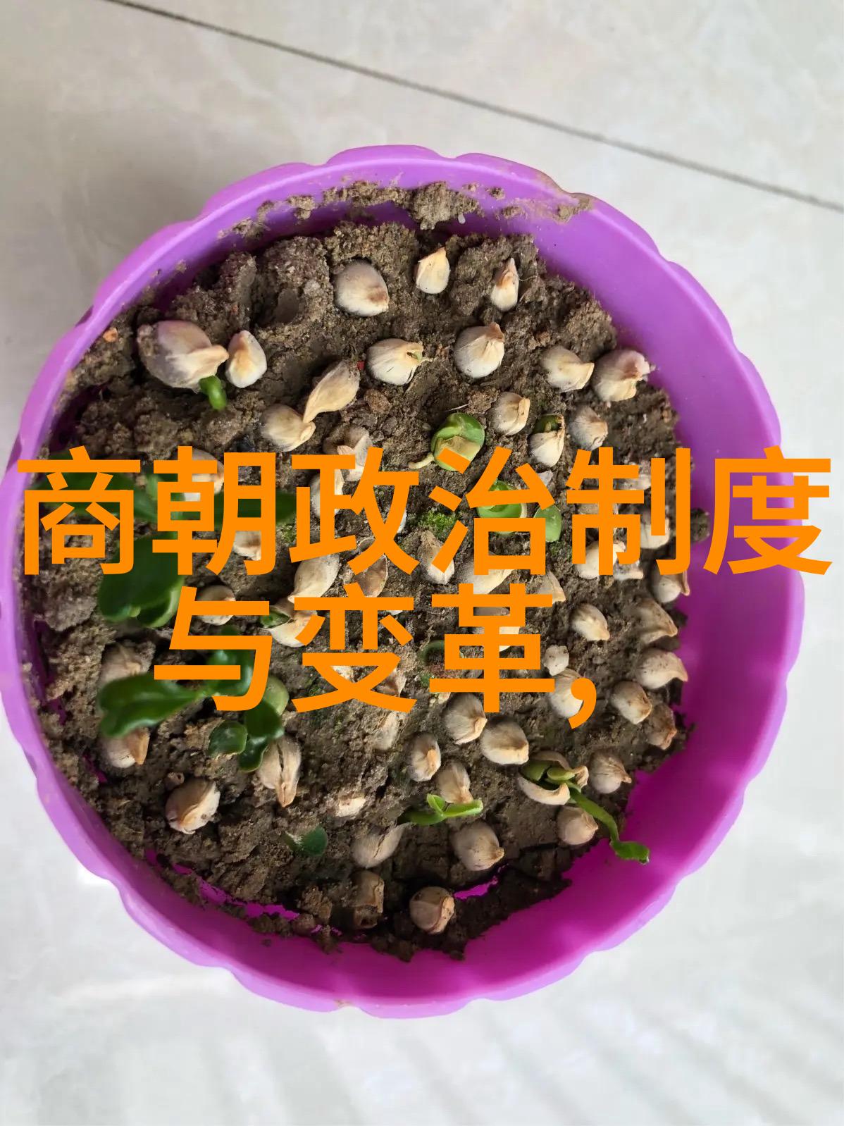 帝国建国者的故事中国历代开国皇帝传记选读