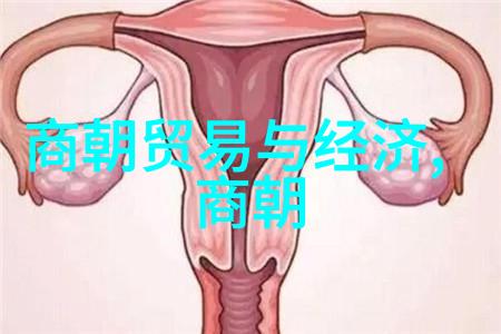 明朝那些事缘何遭禁揭秘网络剧下架背后的原因