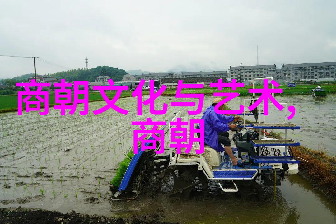 细水长流暗恋那点小事的温柔旋律