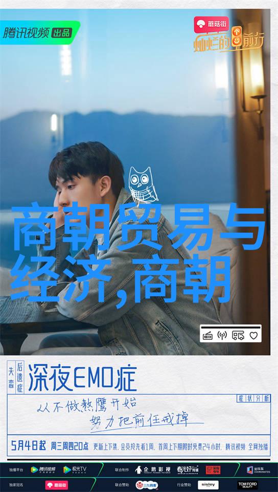 风月宝鉴诗人笔下的元朝夜宴