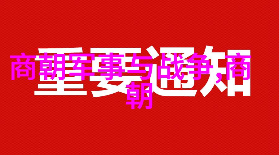 明朝逆袭从皇子到隐者