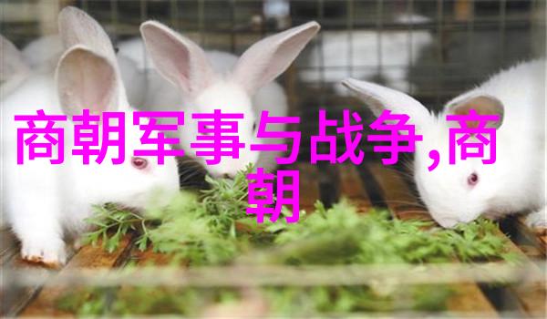 明朝怪事为什么多探索历史中的奇迹与谜团