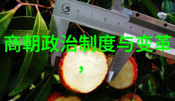 明朝最牛人物朱元璋的崛起与帝王之路