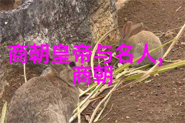 明朝帝王谱系探究从洪武到崇祯的十六位君主