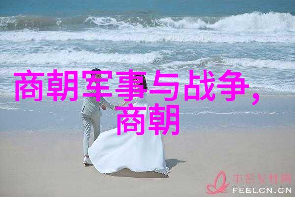 宋朝趣闻录揭秘古代帝王与民间奇事