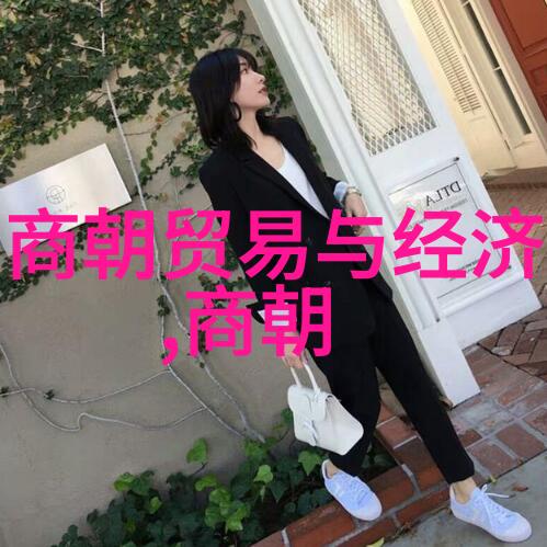 清朝历史如同杨式太极拳柔和而深邃流转千年