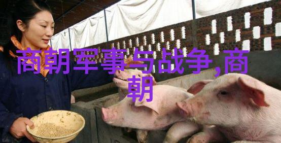 明末四大奇案揭秘明朝末年四起震惊人心的重大案件
