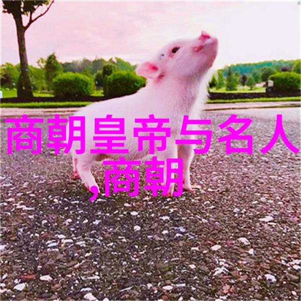 风起云涌元朝覆灭的悲歌
