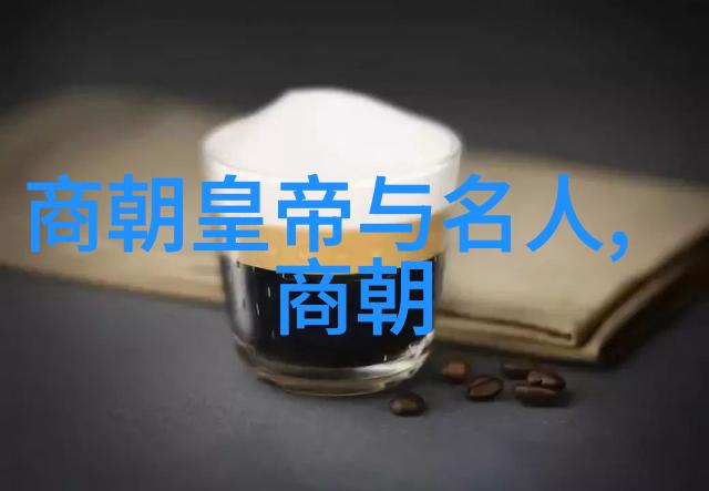沉默的龙椅清朝帝王之谜