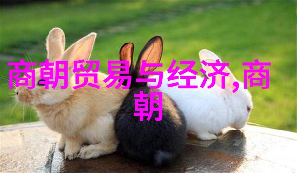 明末抗清十大名将老子们的英勇传说