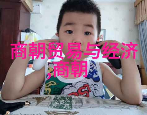 明朝中期出现了哪些大的变革对于后续的发展产生了什么影响