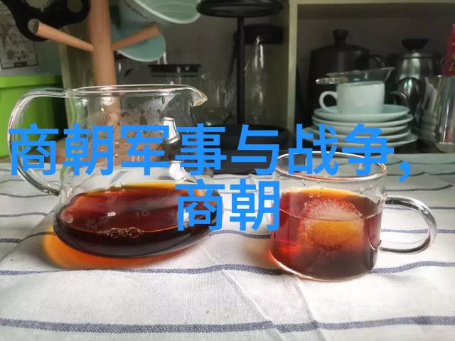 明朝秘谱皇室遗留的血脉之谜