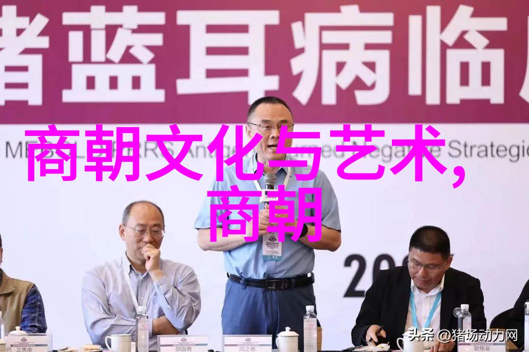从神州大地到辽国宫廷岳飞逝世与靖康屈辱的背景考察