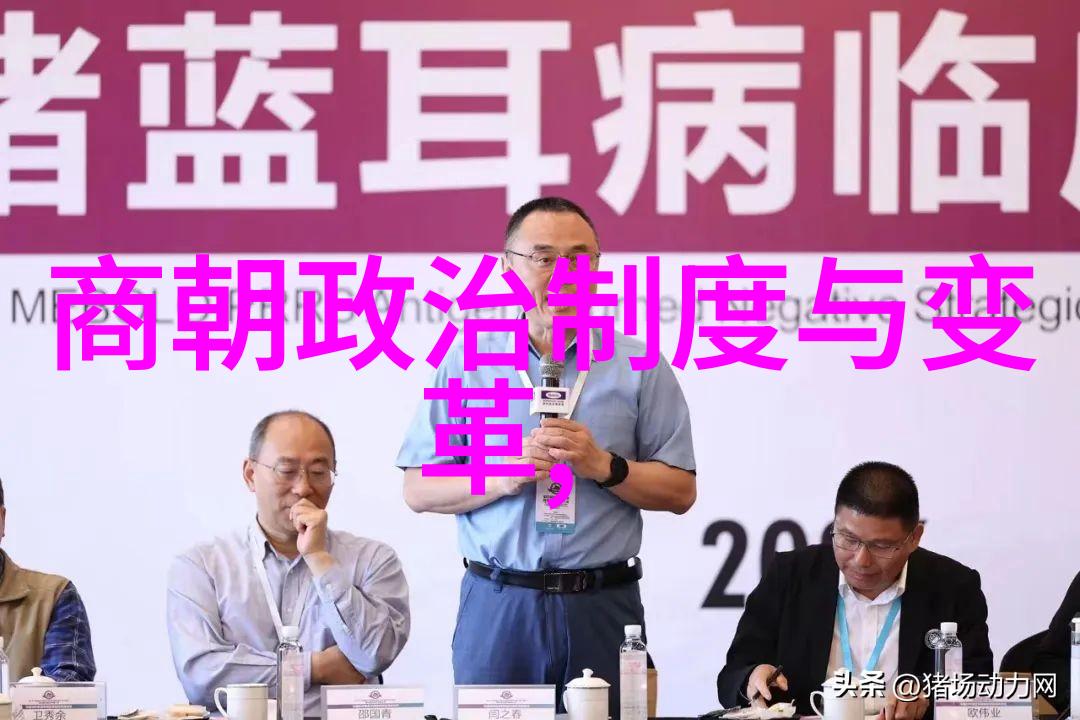 龙的传说与凤的故事解析中国神话文化
