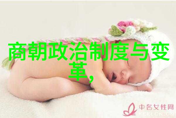 历史转折点上的权力斗争从赵构到忽必烈帝王之间的小游戏