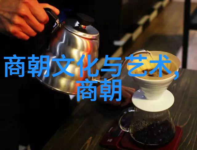 从崇禎到永历南明朝廷如何应对外患与内忧问题