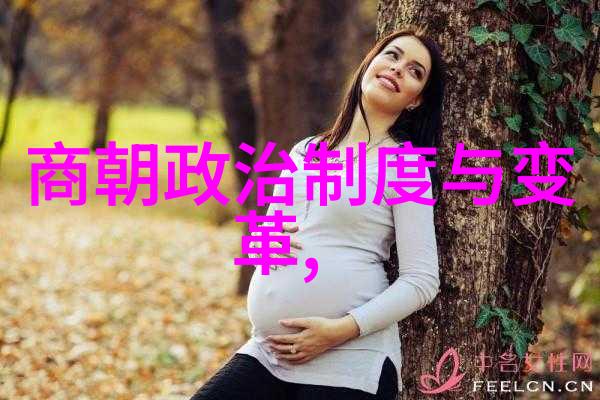 张汤西汉的铁腕酷吏与表白之谜