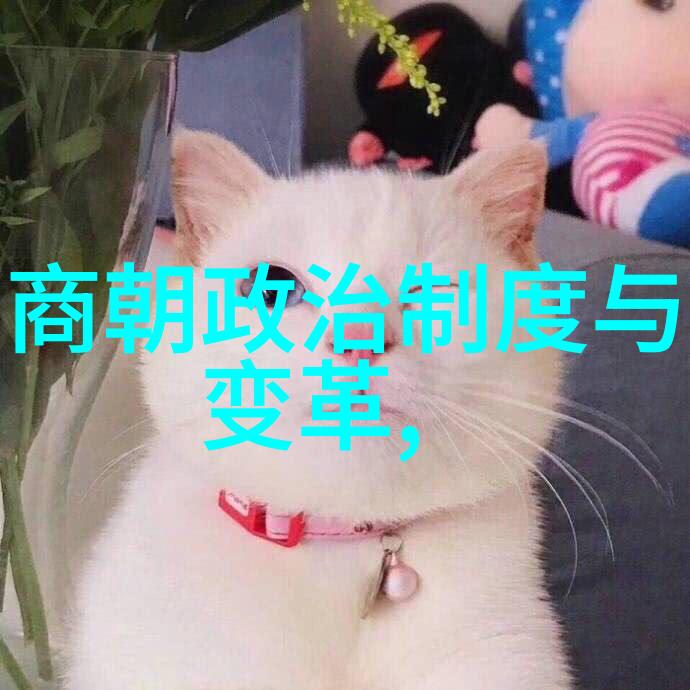 是谁把宋朝灭亡的我说你听真相背后的那些人