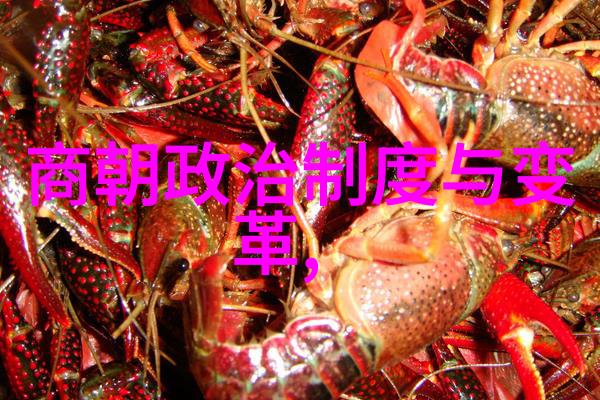 中国最早的文字是啥为什么这么命名