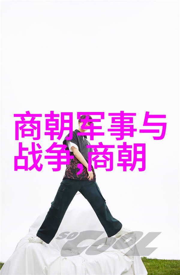 南北朝代交错时汪直擅政之风