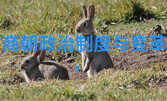 明朝那些事儿目录顺序翻开历史的篇章我和明朝那些事儿的故事
