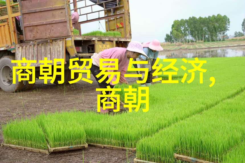 常香玉河南戏曲大师现任豫剧院长在社会的舞台上展现艺术魅力