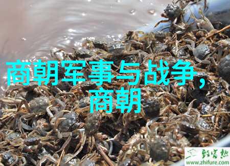 明朝那些事儿  史海变迁下的民族魂魄