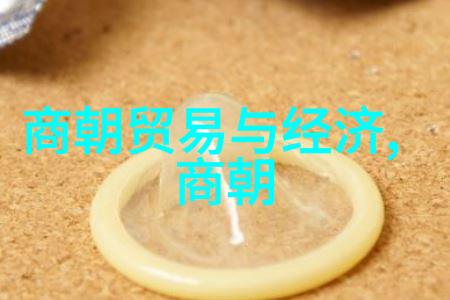 崔恭探索国学深邃之谜