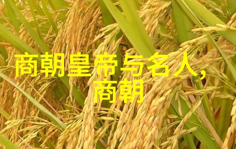 封建之巅揭秘历史长河中的最悠久王朝