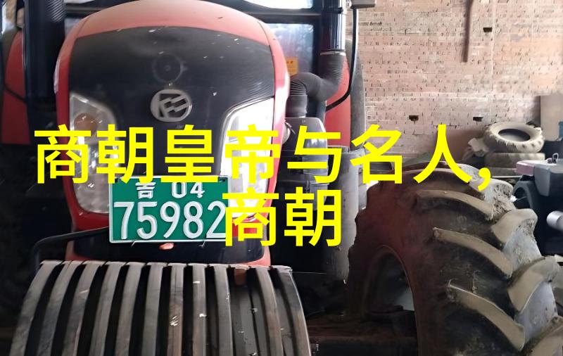 最诡异的朝代我的历史探险