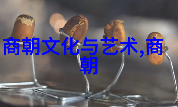 从清华到明朝探索古代家族谱系的奥秘