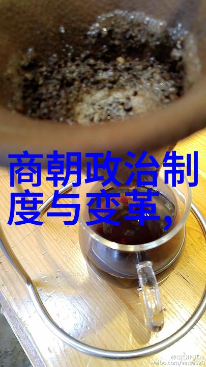 龙凤盛世明朝的辉煌与变革