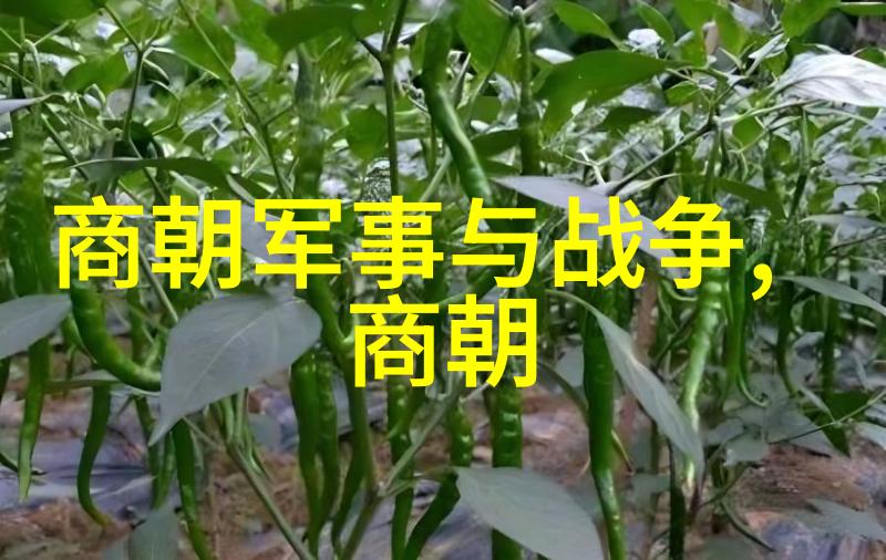 明朝那些精彩瞬间的回忆与思考