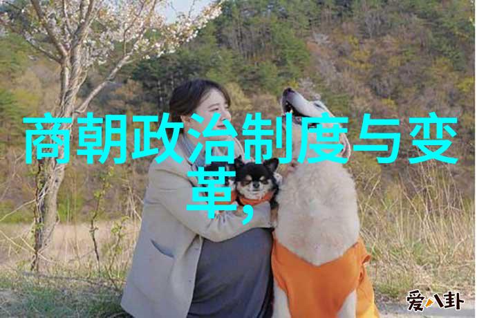 在科技领域宋代发明创造有什么显著的进展吗