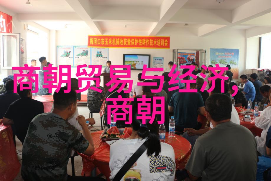 在靖康电视剧的背景下刘亦菲如何塑造出一个复杂的人物形象